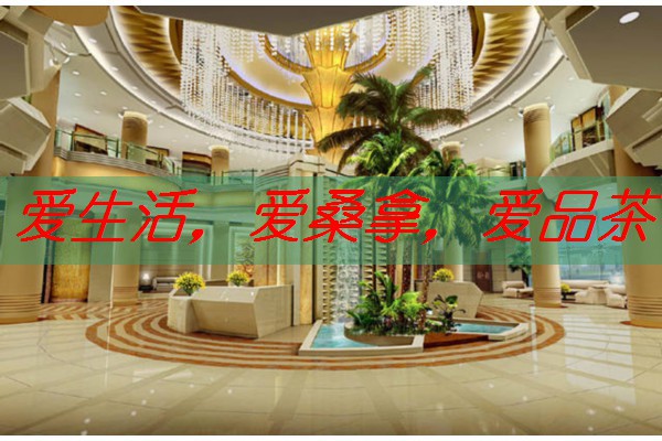 南宁桑拿行业动态：探寻最新论坛网热点-南宁按摩spa